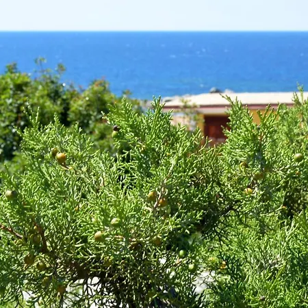 Nuova Su Strintu Villa *